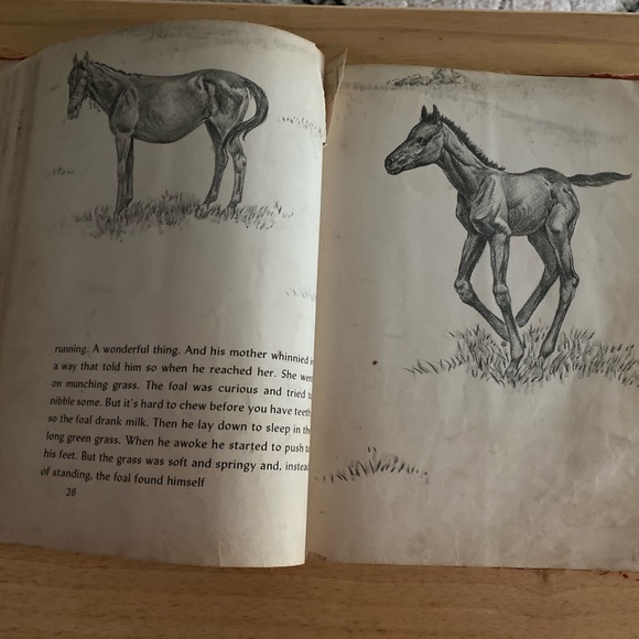 Wonderful Things! by Zhenya Gay - Picture 5 of 12